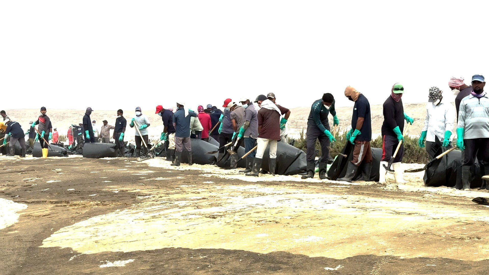 Cleanup underway as Russian oil spill reaches Oman’s coastline